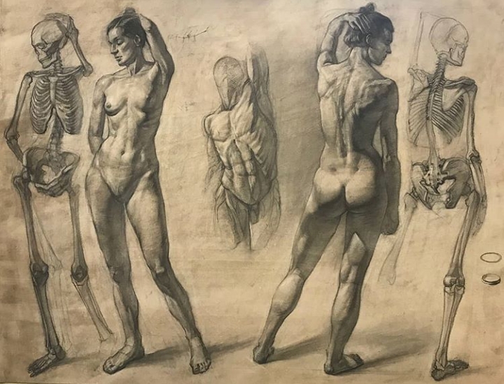 Figur Cizimi Ve Oran Iliskisi